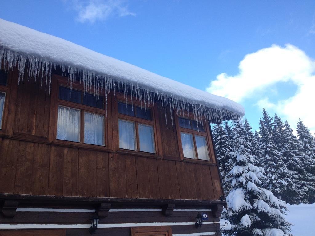 Chalet Horska *