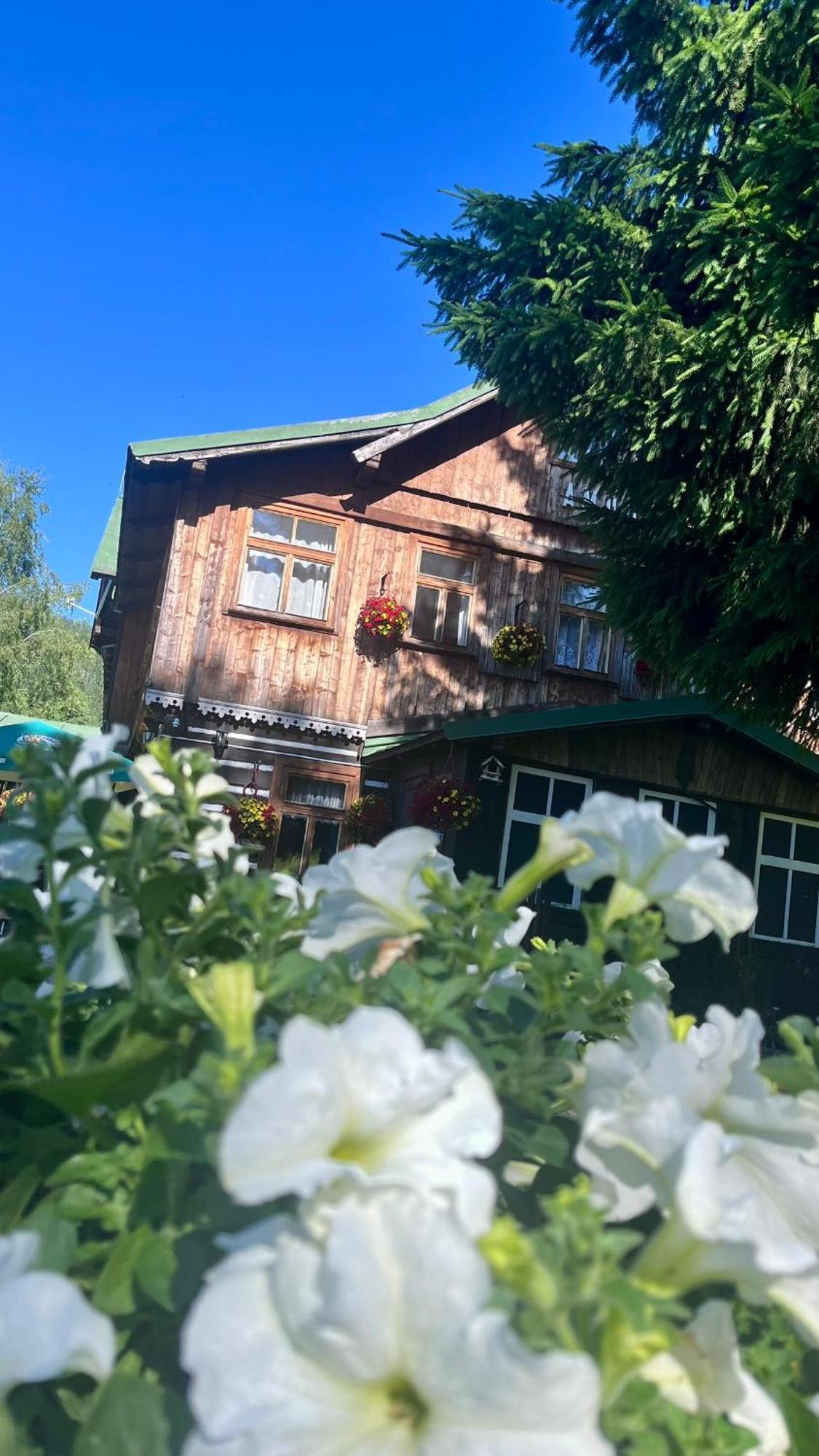 阿莫尔山区小屋酒店 木屋