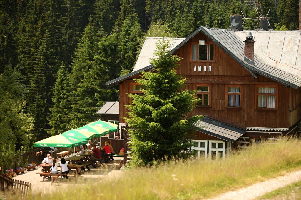 Chalet Horska